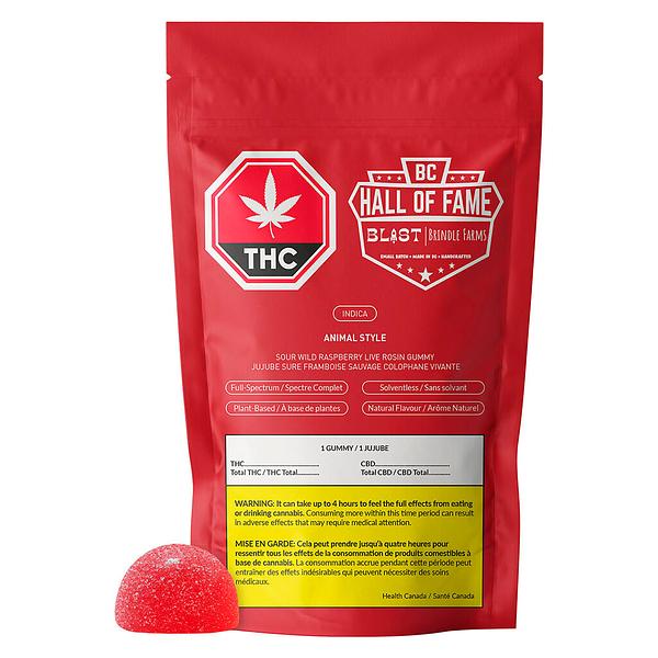 BLAST - Sour Wild Raspberry Animal Style Live Rosin Gummy image 4