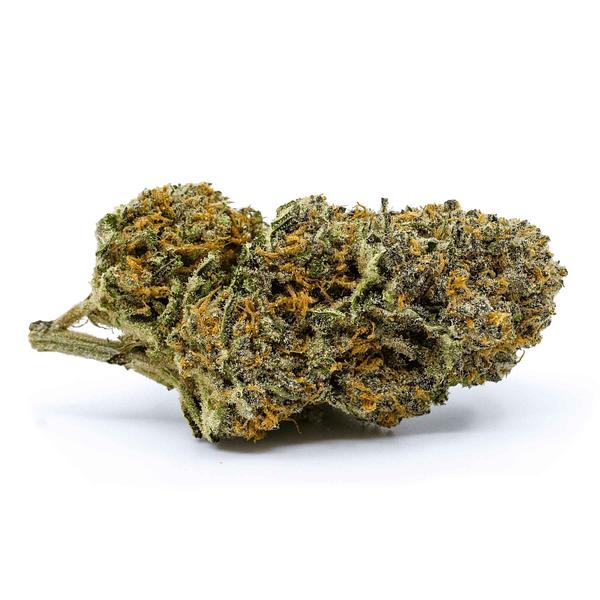 Redecan - Wappa image 1