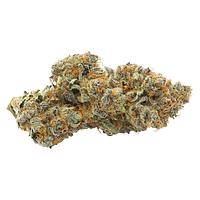 Sitka Legends - Kim's Sweet Diesel