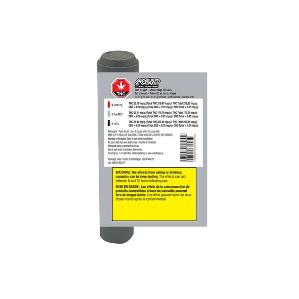 Rocket Factory - Test Flight - Three Stage Pre-Roll image 3