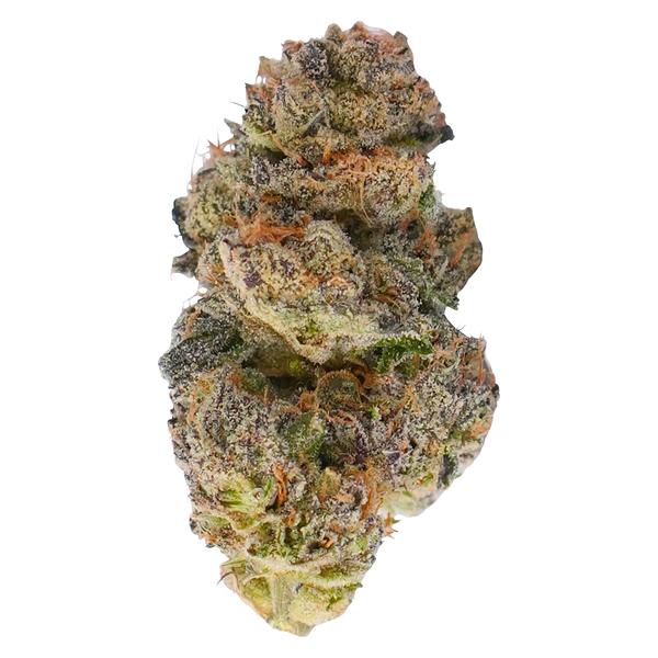 TADU - Black Gorilla image 1