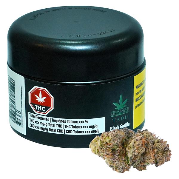 TADU - Black Gorilla image 4