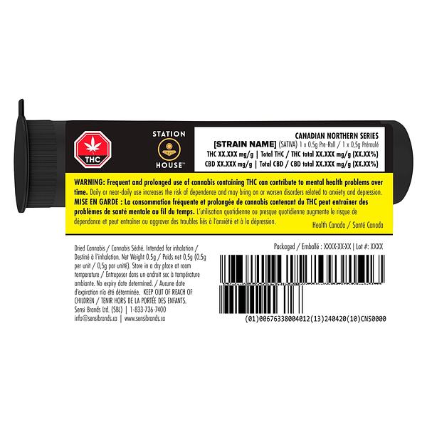 Station House - Canadian Northern Series Pre-Roll image 3