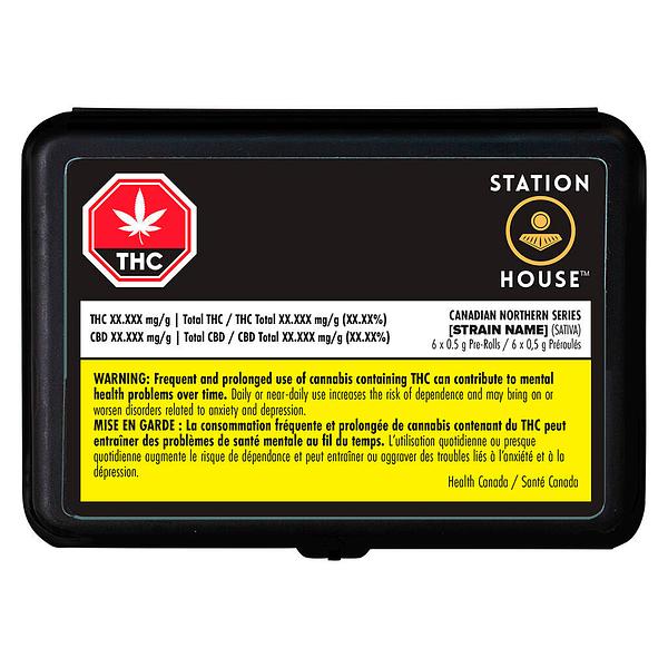 Station House - Canadian Northern Series Pre-Roll image 5