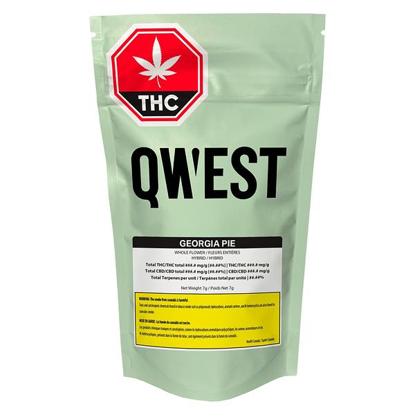 Qwest - Georgia Pie Craft Whole Flower image 2