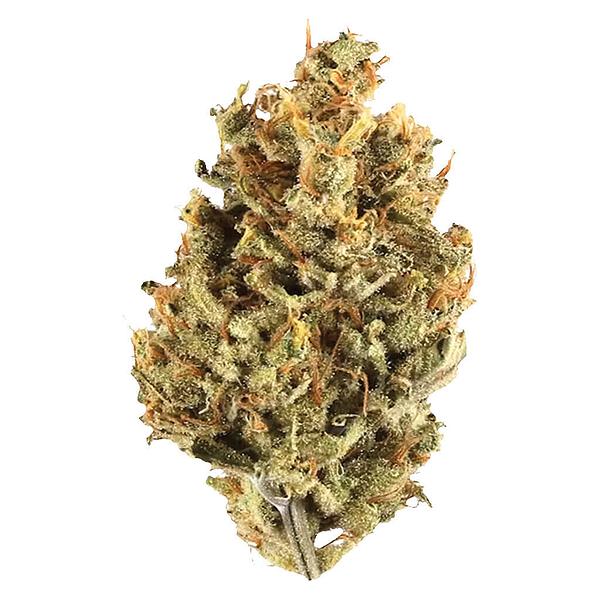 Potluck - Cranberry Cough image 1