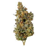 Top Leaf - Nakatomi Plaza