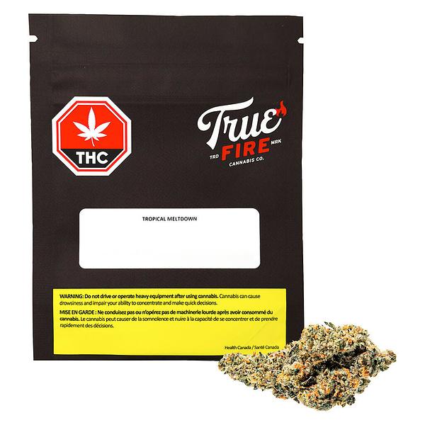 True Fire - Tropical Meltdown image 4