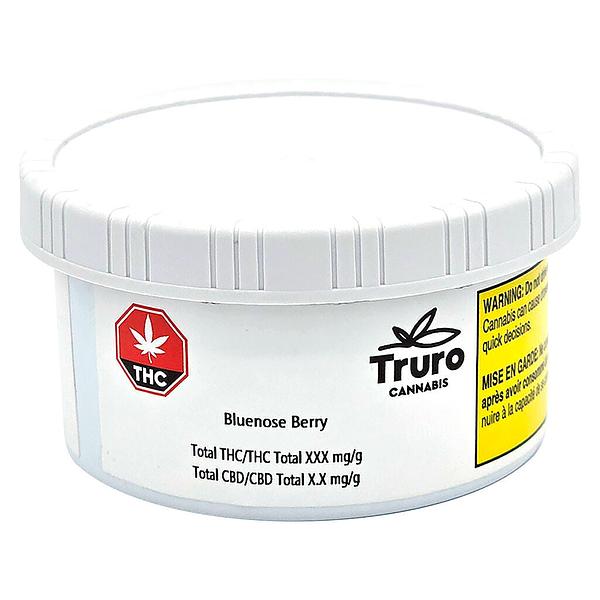 Truro - Bluenose Berry image 2