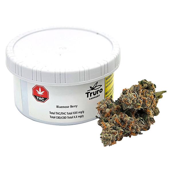 Truro - Bluenose Berry image 4