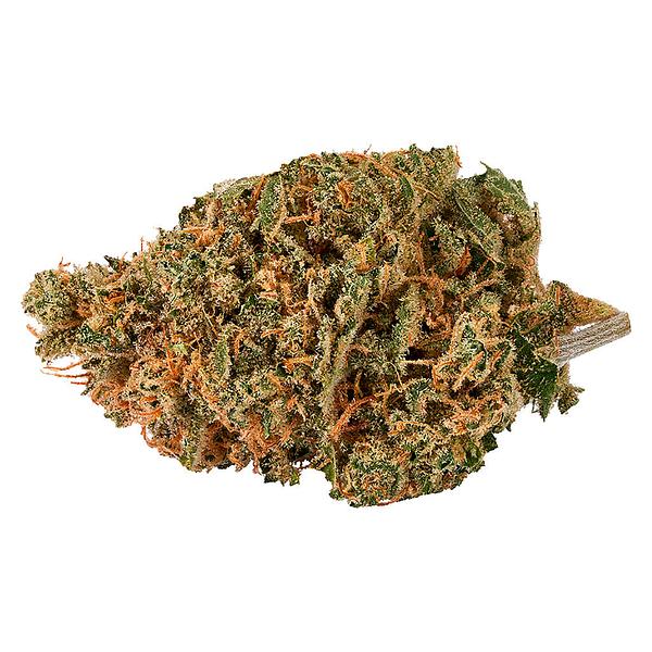 Bud Lafleur - Citroli image 6