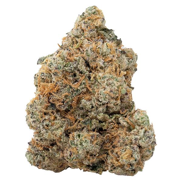 The Loud Plug - Exotic Gas image 1