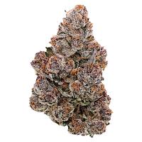 SublimeCulture - Halli Berri