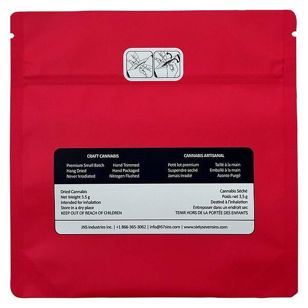 Sixty Seven Sins - EXPO67 image 3