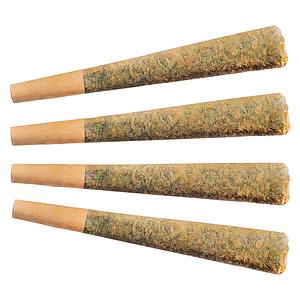 Fuego - Night Rider Pre Roll