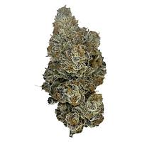 The Kitchen - Kadillac Rainbows