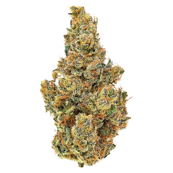Coast Mountain Cannabis - BC Organic Dancehall image 1