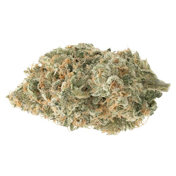 SUMO - Cement Shoes image 1