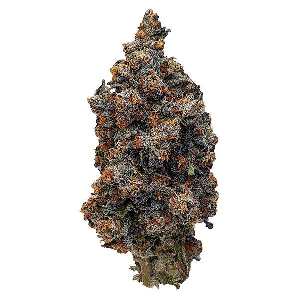 Rocket Factory - Interstellar Stash image 1