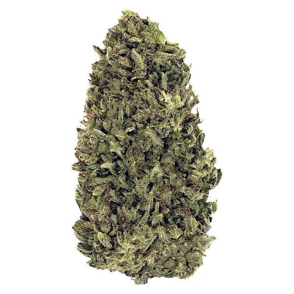 LoFi - Nostalgia Infused Craft Hemp image 1