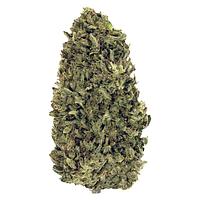 LoFi - Nostalgia Infused Craft Hemp