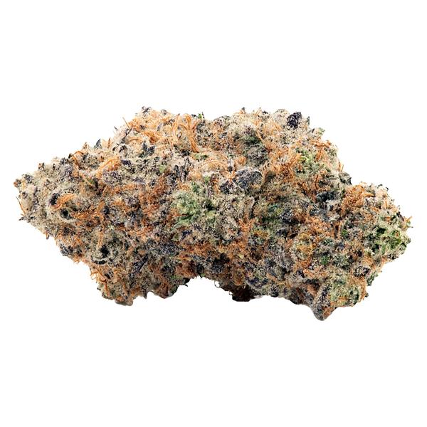 Coterie - Alien Mintz image 1