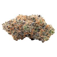 Coterie - Alien Mintz