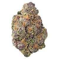 Kolab Project - Exotics