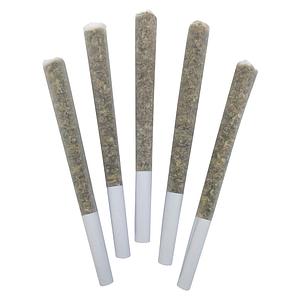 DEALR - Sweet Jesus Pre-Rolls