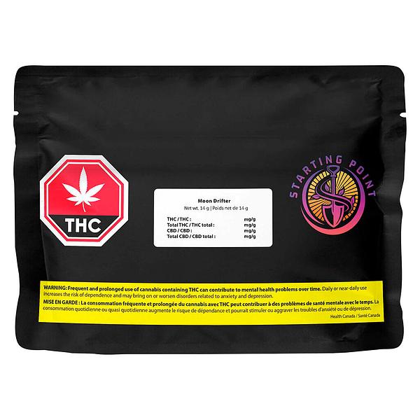 Starting Point! - Moon Drifter image 2