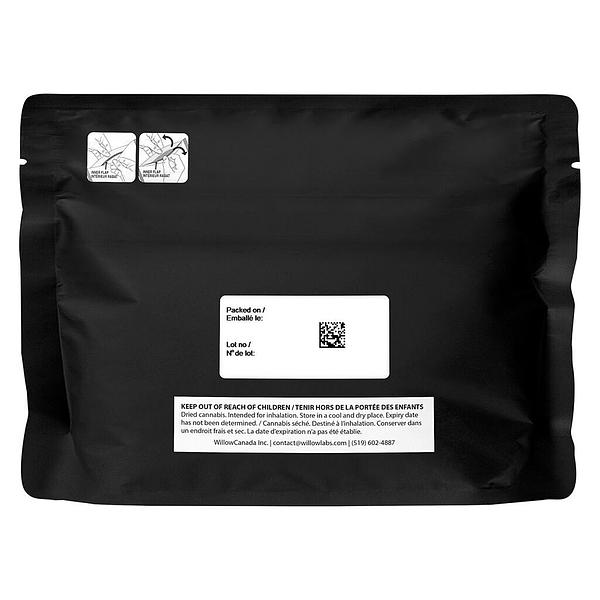 Starting Point! - Moon Drifter image 3