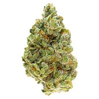 FOUR54 - Strawberry Pavé