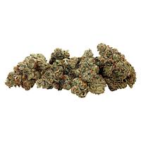 GreenSeal - Praline Gelato Hybrid