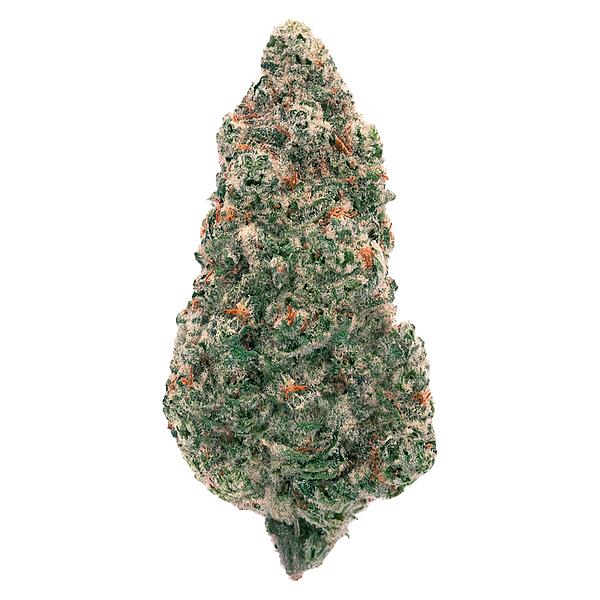 Back Forty - Mandarin Cookies image 1