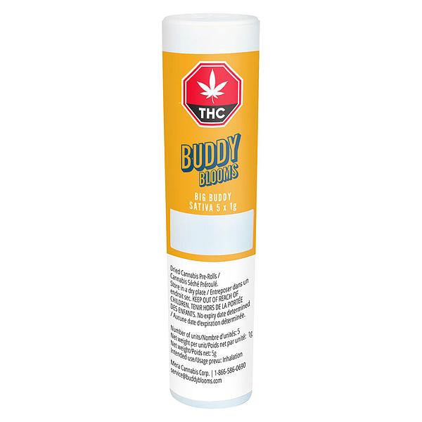 Buddy Blooms - Big Buddy Sativa Pre Roll image 3