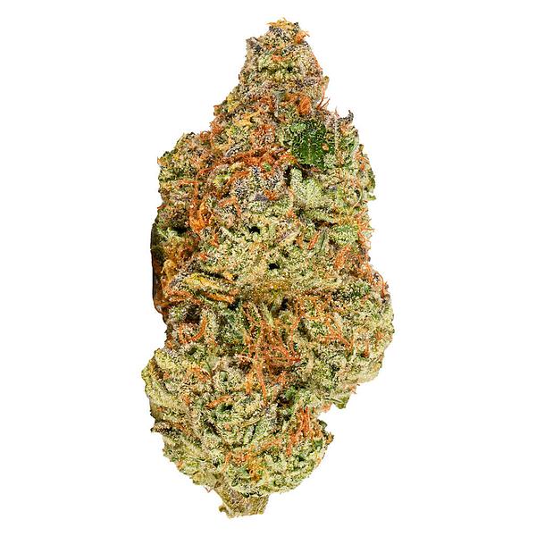 Viola - Ai '96 image 1