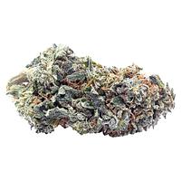 Terp Town Collective - Frosty Melonz