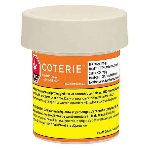Coterie - Electric Daisy image 2