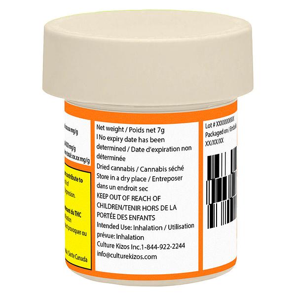 Coterie - Electric Daisy image 3