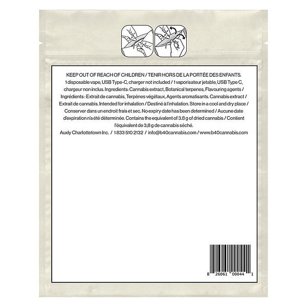 Back Forty - Watermelon Ice Disposable Pen image 3