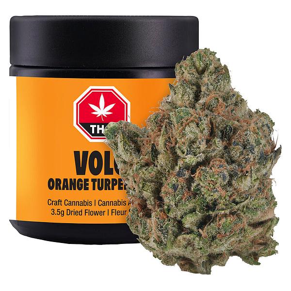 VOLO - Orange Turpentine image 4