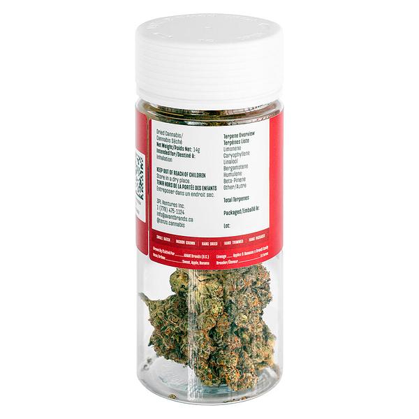 Tenzo - Apple Banana Cndy image 3