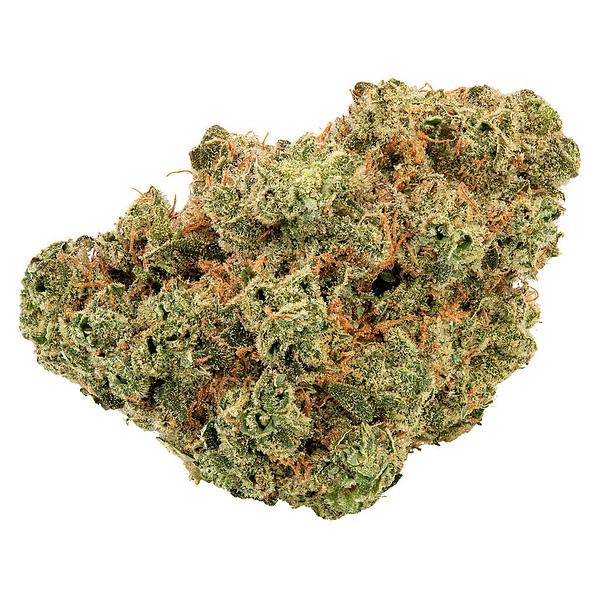 Trailblazer - Lemonade Haze image 1