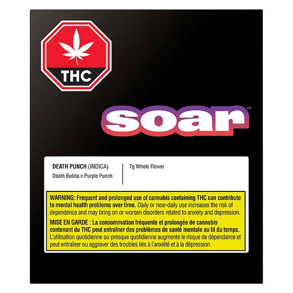 Soar - Death Punch image 2