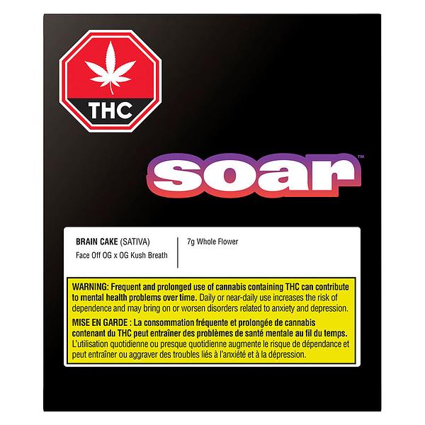 Soar - Brain Cake image 2