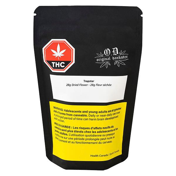 Original Dankster - Trapstar image 4