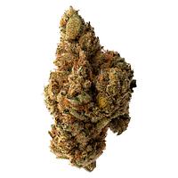MaryJane's - Secret Strains
