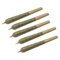 Clem & Co. - Apricot Cream x Cheese 1:1 Pre-Roll