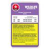 Wildlife Cannabis Co. - Purple Trainwreck Pre-Roll thumbnail 2