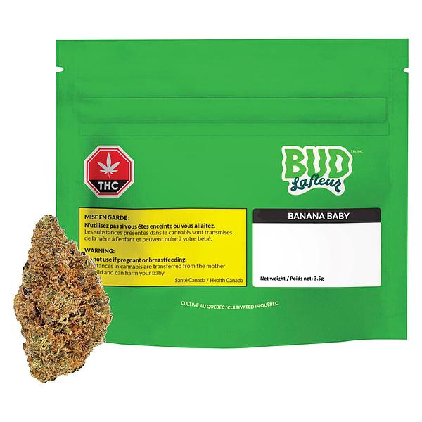 Bud Lafleur - Banana Baby image 4